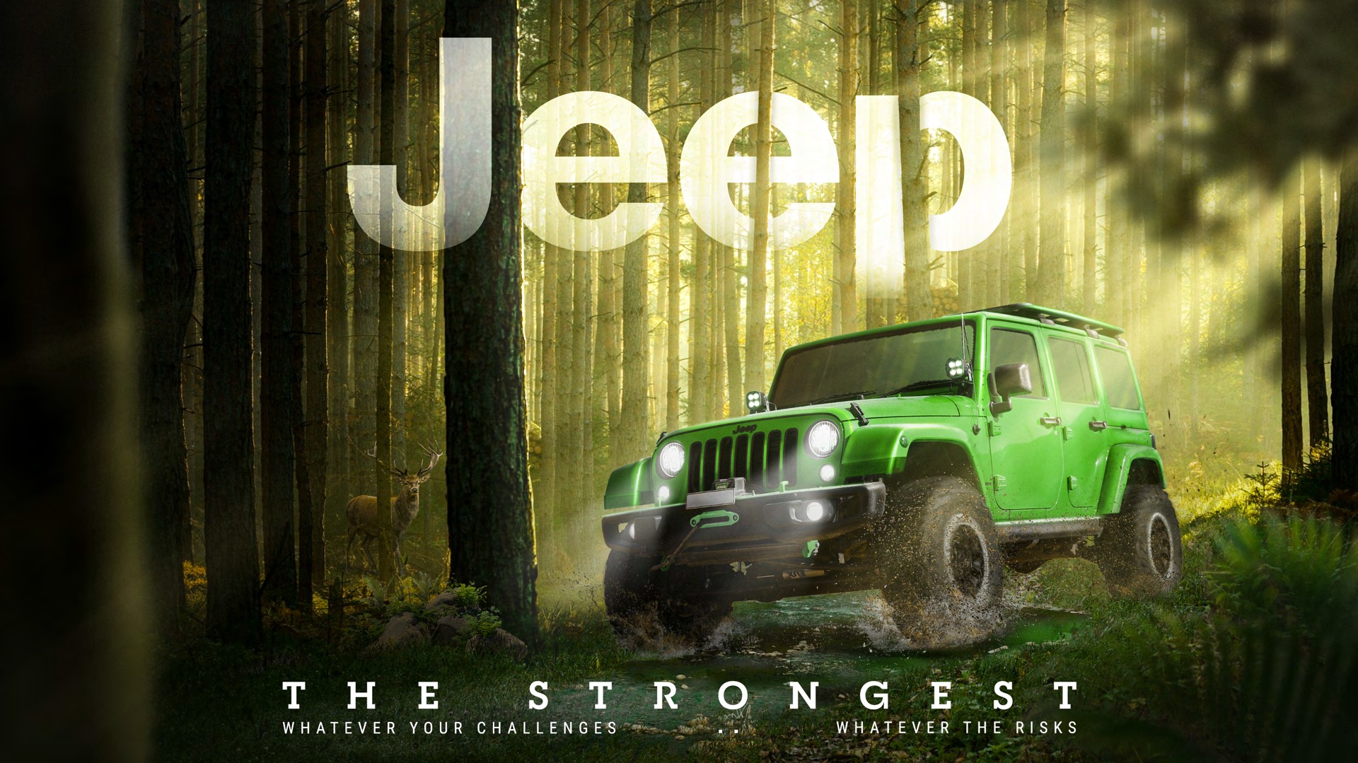 Jeep — Automotive, artwork 1.1