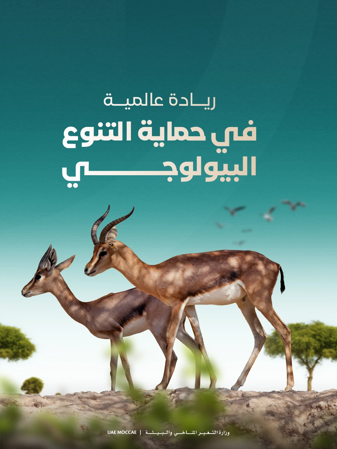 Biodiversity — conservation agreements, frame 1
