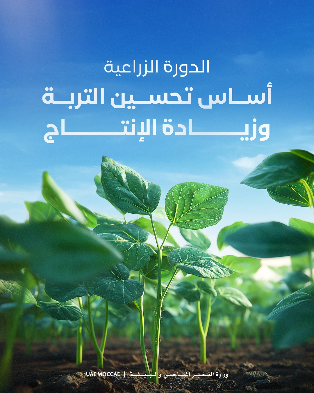 Crop rotation — educational carousel, frame 1