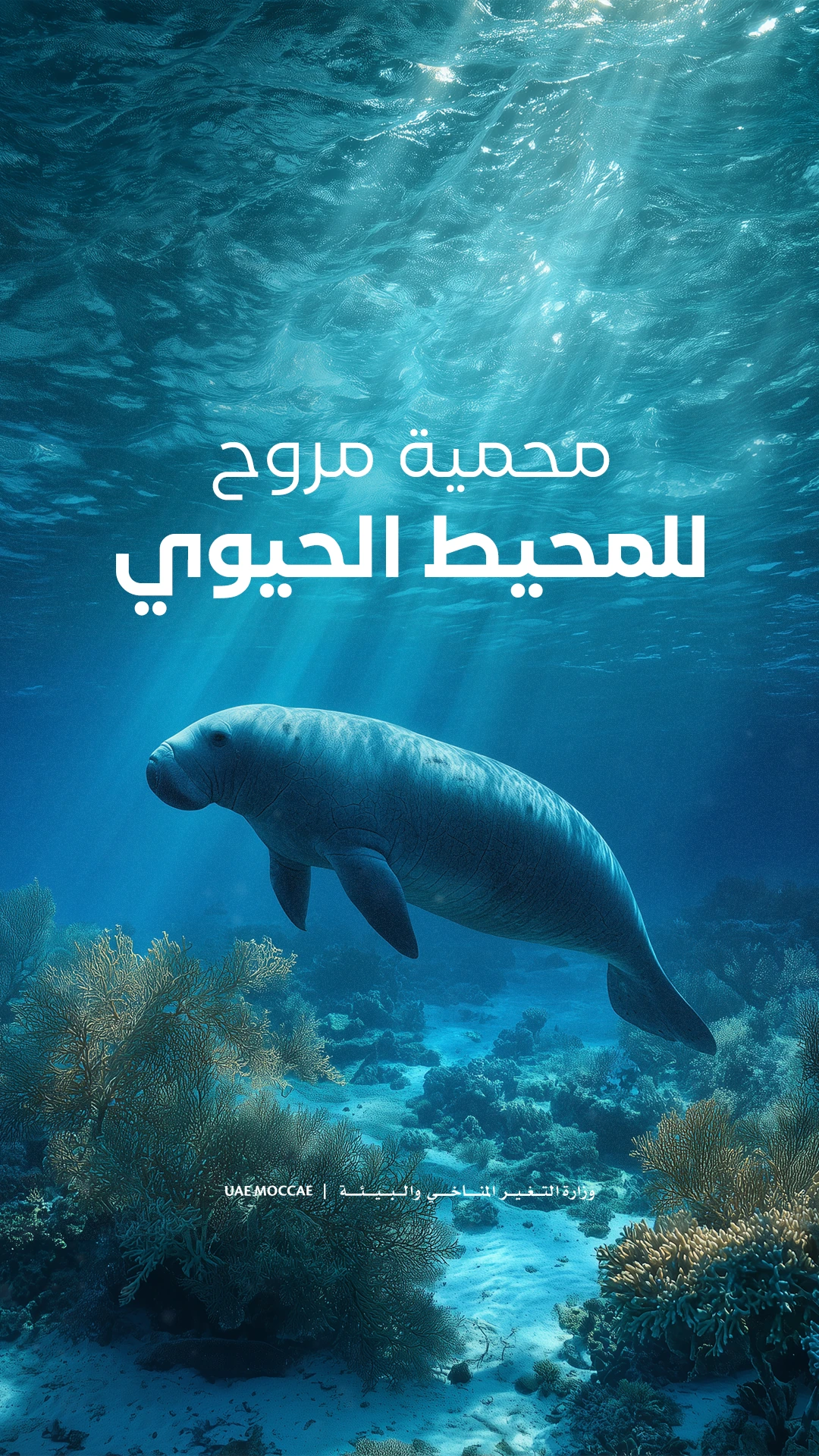 Marawah Biosphere Reserve — marine conservation visual